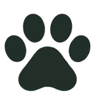 Pets